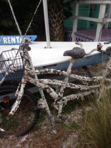 barnacle-encrusted tandem bike and fishing pole on AMI