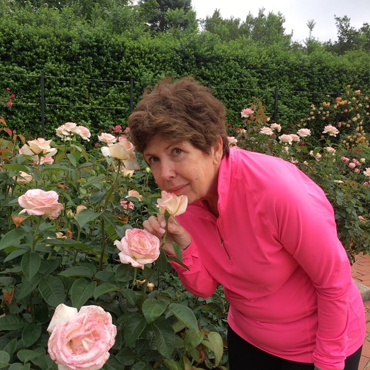 Stopping to smell the roses at the Birmingham Botanical Gardens